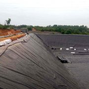 魚塘91短视频APP免费版下载膜