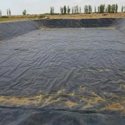 91短视频APP免费版下载膜