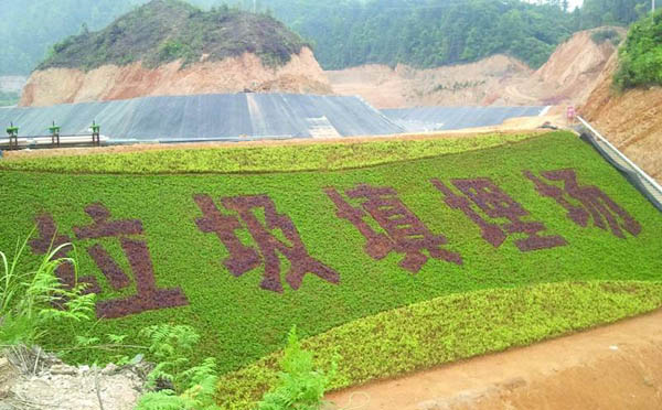 hdpe91短视频官网