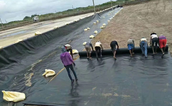 鋪設hdpe91短视频官网