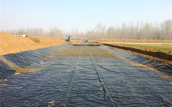 91短视频APP免费版下载膜