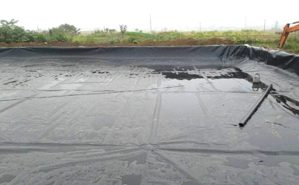 91短视频APP免费版下载膜