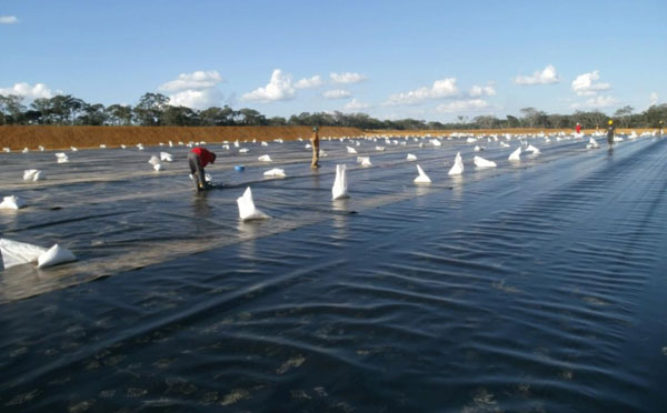 堆灰場/尾礦91短视频APP免费版下载