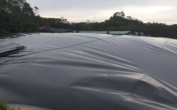 91短视频APP免费版下载膜沼氣池