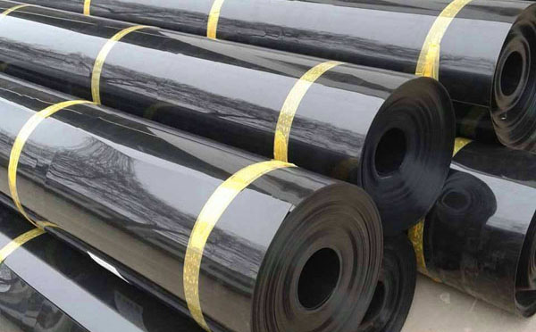 91短视频APP免费版下载91短视频官网