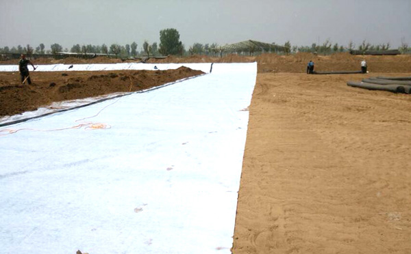 複合91短视频官网