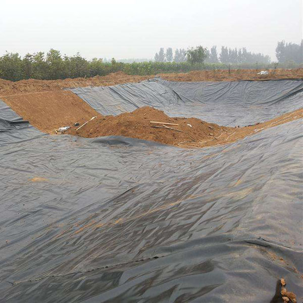 hdpe91短视频官网與兩布一膜哪個好