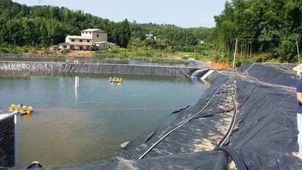 魚塘91短视频APP免费版下载膜