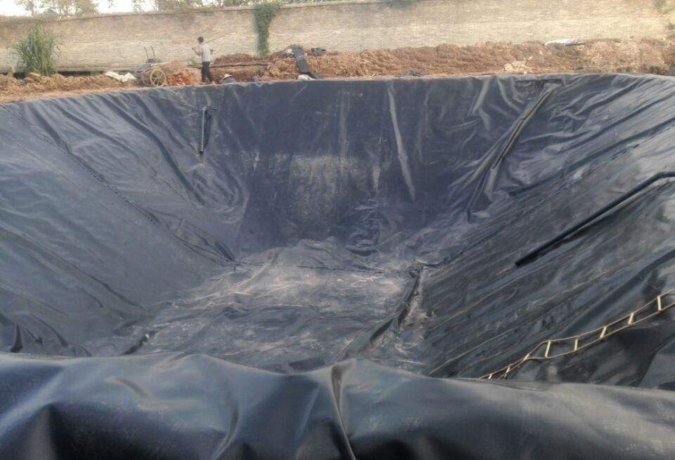 魚塘91短视频APP免费版下载膜