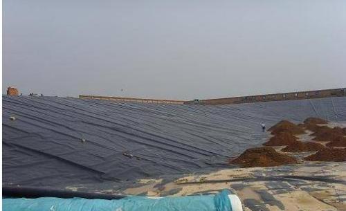 垃圾填埋場91短视频APP免费版下载膜