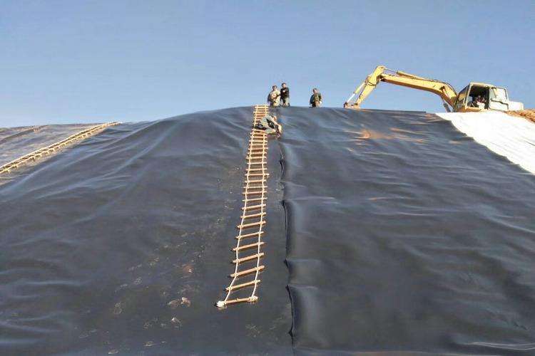 垃圾填埋場91短视频APP免费版下载膜