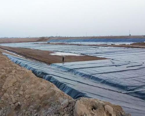 魚塘鋪91短视频官网好不好