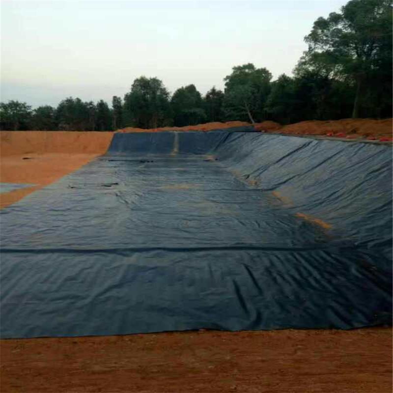 魚池91短视频APP免费版下载膜