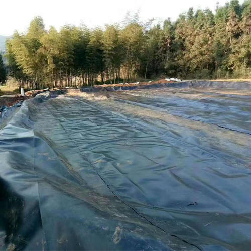 魚池91短视频APP免费版下载膜能用幾年