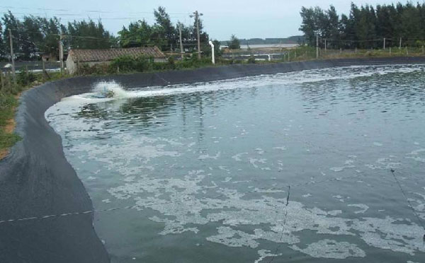 魚塘一般用多厚的91短视频APP免费版下载膜